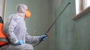 Reliable Vacaville, CA Mold Removal & Remediation Solutions